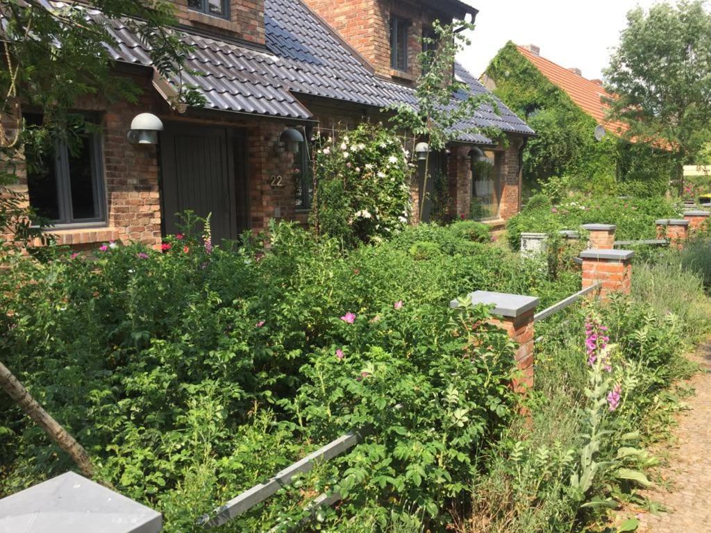 Grosse Wohnung / Haushaelfte In Peetzig Am See Angermunde Eksteriør billede